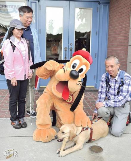 導盲犬Deanna與主人曾建平（右一）一入迪士尼就受到「寵物狗」布魯托迎接，Deanna初時見到咁大隻「狗」都嚇到縮埋一邊，後來知道布魯托係善良嘅「狗仔」後，都同佢合照，仲「錫嘴嘴」