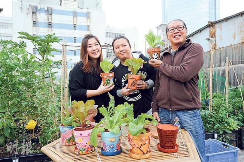都市農莊創辦人林世昌(右)在聖誕期間,與同在農莊租田的葉鷺(左)和王良偉(中)洽談合作大計,結果一拍即合,在新年前舉辦3個有機種植年花設計工作坊。(葉思雅攝)原本啡紅的花盆,一經修飾便變得獨一無二,與綠油油的生菜相映成趣。都市農莊創辦人希望,將藝術融入有機耕作,可提高小朋友對耕種的興趣。(葉思雅攝) 都市農莊創辦人林世昌(右)在聖誕期間,與同在農莊租田的葉鷺(左)和王良偉(中)洽談合作大計,結果一拍即合,在新年前舉辦3個有機種植年花設計工作坊。(葉思雅攝)原本啡紅的花盆,一經修飾便變得獨一無二,與綠油油的生菜相映成趣。都市農莊創辦人希望,將藝術融入有機耕作,可提高小朋友對耕種的興趣。(葉思雅攝)