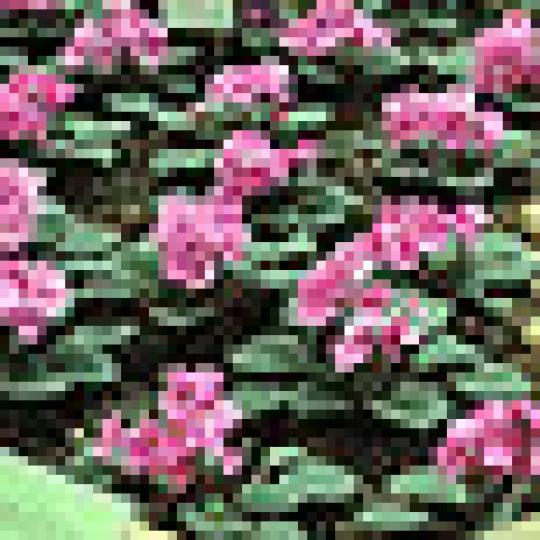 13bbf39fefd817e49790afcd2c89e068