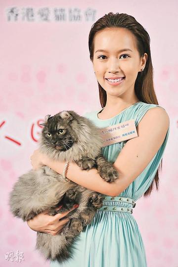 傅嘉莉帶埋愛貓BeBe出席活動，為兩對貓兒做證婚人。（微博圖片）