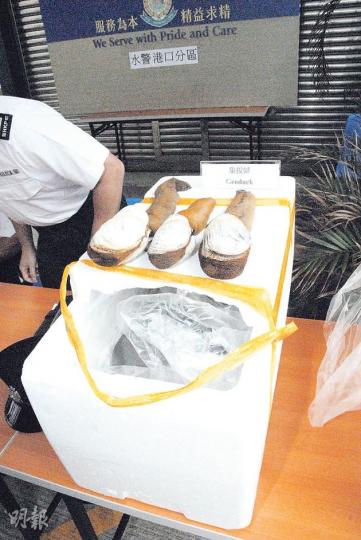 水警在筲箕灣避風塘拘捕兩名走私客,緝獲價值逾百萬元的象拔蚌。(雲錦鋒攝) 水警在筲箕灣避風塘拘捕兩名走私客,緝獲價值逾百萬元的象拔蚌。(雲錦鋒攝)