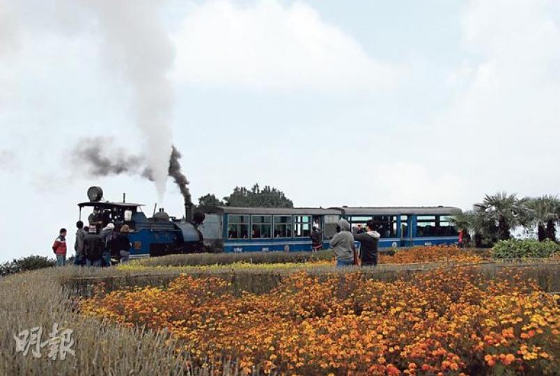 只有兩列車卡的大吉嶺蒸汽火車,被暱稱為toy train。(郭瑋瑋攝)沒火車開過時,路軌就成為菜販的「舖位」。(郭瑋瑋攝)蒸汽火車跟商舖民居擦肩而過,是大吉嶺特有的風景。(郭瑋瑋攝)喜馬拉雅動物園的雪豹,忽然像家貓般躺在地上,神情可愛。(郭瑋瑋攝)威武的「Richard Parker」孟加拉虎,是喜馬拉雅動物園裏的明星。(郭瑋瑋攝)Yiga Choling Gompa裏,供奉了色彩艷麗的彌勒佛。(郭瑋瑋攝)西藏難民自救中心裏的藏人婦女,讓遊人參觀她們織製地氈。(郭瑋瑋攝)天氣好的話,能在火車上看 只有兩列車卡的大吉嶺蒸汽火車,被暱稱為toy train。(郭瑋瑋攝)沒火車開過時,路軌就成為菜販的「舖位」。(郭瑋瑋攝)蒸汽火車跟商舖民居擦肩而過,是大吉嶺特有的風景。(郭瑋瑋攝)喜馬拉雅動物園的雪豹,忽然像家貓般躺在地上,神情可愛。(郭瑋瑋攝)威武的「Richard Parker」孟加拉虎,是喜馬拉雅動物園裏的明星。(郭瑋瑋攝)Yiga Choling Gompa裏,供奉了色彩艷麗的彌勒佛。(郭瑋瑋攝)西藏難民自救中心裏的藏人婦女,讓遊人參觀她們織製地氈。(郭瑋瑋攝)天氣好的話,能在火車上看
