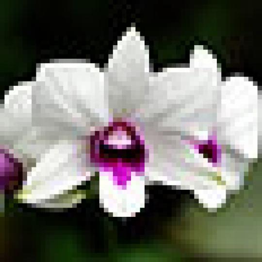 2bcee6a10e33476311d5db285680bb13