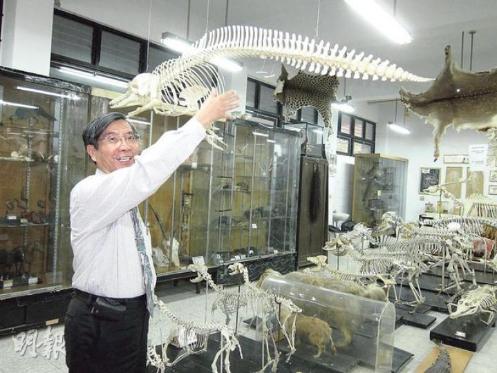 台灣國立屏東科技大學獸醫學系有不少教學設施，除牧場和狗房，所長吳永惠亦展示校園內的大型動物標本室，包括部分珍貴的動物標本，供教學研究之用。（勞雅文攝）城大生命科學總監王啟熙於英國劍橋大學完成獸醫課程，本身亦是愛狗之人，養有一頭10歲的老虎狗（圖）。他認為本港有需要開辦獸醫學院，除了診治寵物，更可培育動物與疾病相關的研究專家。（余俊亮攝）兩名香港高考生周藹倩（左）及廖翠瑩（右），為一圓獸醫夢均不理家人反對，到台灣國立屏東科技大學讀獸醫。（勞雅文攝）