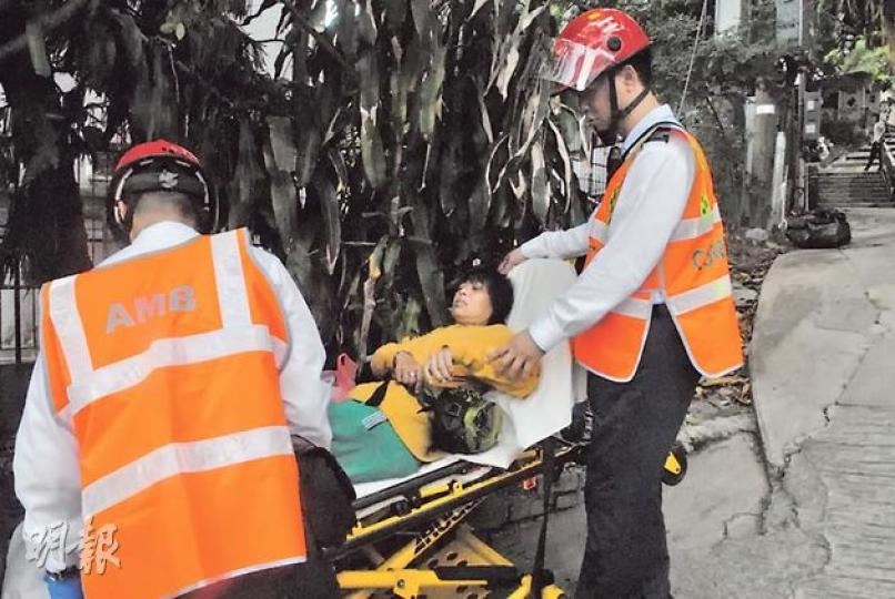 下禾輋其中一間起火113號寮屋單位的租客梅姐，見家園被燒、價值數萬元保健醫療儀器焚毀，傷心痛哭，感心痛要送院治理。（雲錦鋒攝）插畫家李香蘭居於火場對面的石屋，幸及時帶着年邁的婆婆及貓狗逃生。（雲錦鋒攝）消防在112號下禾輋寮屋單位救出一隻嚴重燒傷家貓，送到愛護動物協會急救。（雲錦鋒攝）