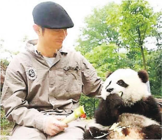 黃曉明表示看到熊貓便煩惱盡消。（微博圖片）