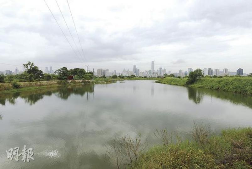 剛解禁的邊境土地,當中逾200公頃是位於蠔殼圍的魚塘,與米埔濕地相連,可遠眺深圳,是候鳥的重要棲息地,環團擔心發展河套會波及附近一帶魚塘,帶來人為污染,令生態價值下降。(余俊亮攝)政府昨日開放第2階段邊境禁區,開放了介乎落馬洲邊境管制站至梧桐河一段禁區土地,警方在羅湖得月樓村仍有站崗(圖),市民可自由進入羅湖至得月樓,持有禁區紙的村民,則可前行,越過欄閘(圖左)往羅湖大樓過關,往返深圳。(余俊亮攝) 剛解禁的邊境土地,當中逾200公頃是位於蠔殼圍的魚塘,與米埔濕地相連,可遠眺深圳,是候鳥的重要棲息地,環團擔心發展河套會波及附近一帶魚塘,帶來人為污染,令生態價值下降。(余俊亮攝)政府昨日開放第2階段邊境禁區,開放了介乎落馬洲邊境管制站至梧桐河一段禁區土地,警方在羅湖得月樓村仍有站崗(圖),市民可自由進入羅湖至得月樓,持有禁區紙的村民,則可前行,越過欄閘(圖左)往羅湖大樓過關,往返深圳。(余俊亮攝)
