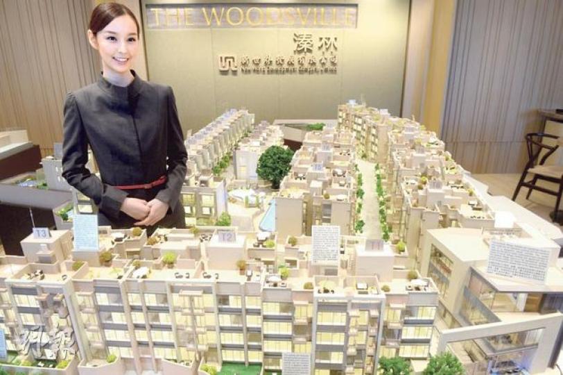 溱林設於中環的展銷廳，未有提供示範單位，而只有展示屋苑模型。新世界稱，礙於場地所限，故不設示範單位，但會確保樓書可於中環新世界大廈大堂向公眾24小時派發。（劉焌陶攝）新世界一改平實作風，邀請藝術家林東鵬就溱林內一棵原生細葉榕為題，創作名為《遊玩．四季》系列的畫作，於展銷廳內擺放。圖中畫作名為遊玩．四季─冬休，描寫冬與夜的寂靜。（劉焌陶攝）