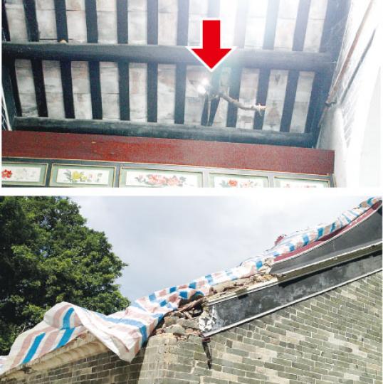 本報記者上周到訪楊侯宮時,發現廟宇屋頂被樹枝插入(上圖),屋面損毁部分僅蓋上帆布(下圖),但未有任何修繕工程。(黃俊鋒攝)位於洪水橋新發展區的楊侯宮,有200多年歷史,是區內兩幢法定古蹟之一,因被塌樹砸穿,正關閉並貼上維修告示。(黃俊鋒攝) 本報記者上周到訪楊侯宮時,發現廟宇屋頂被樹枝插入(上圖),屋面損毁部分僅蓋上帆布(下圖),但未有任何修繕工程。(黃俊鋒攝)位於洪水橋新發展區的楊侯宮,有200多年歷史,是區內兩幢法定古蹟之一,因被塌樹砸穿,正關閉並貼上維修告示。(黃俊鋒攝)