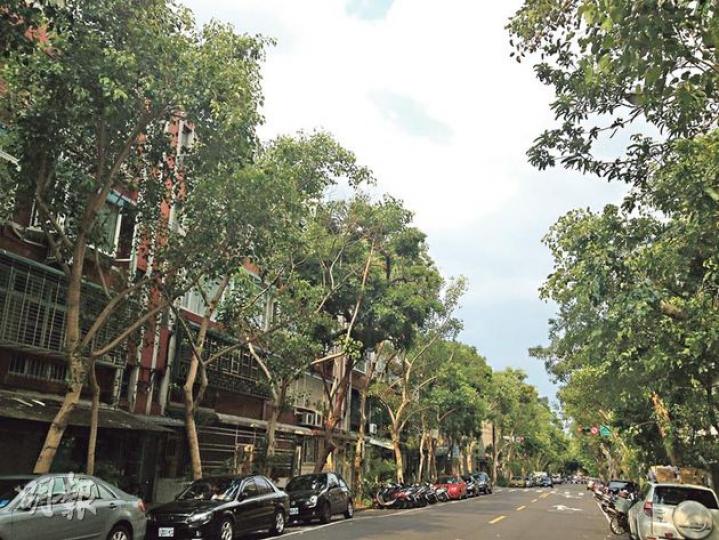 綠樹成蔭的富錦街,獲形容為台北最美的街道。(文仔攝) 綠樹成蔭的富錦街,獲形容為台北最美的街道。(文仔攝)