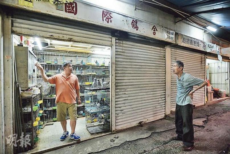 觀塘仁信里「國際鴿舍」是本港碩果僅存的賽鴿店，店主之一梁錦洪（左）表示，他和父親擁4舖，市建局卻以每戶作單位只賠109,240元，要求增加賠償，否則拒絕接受。（余俊亮攝）