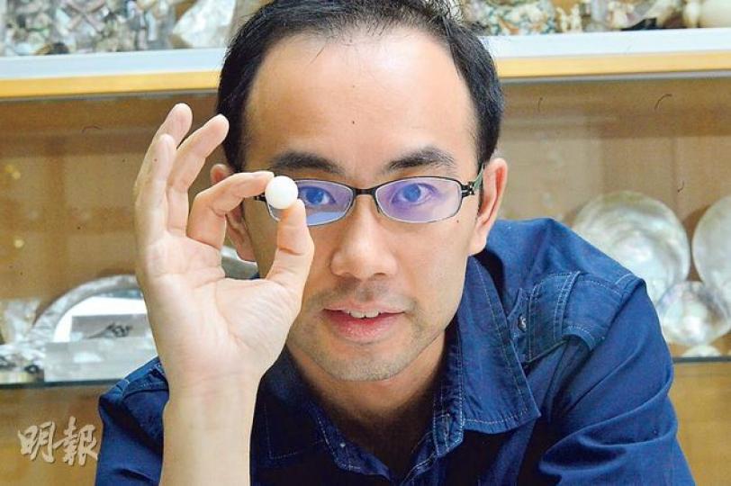 福井製核所負責人王俊傑透露,首批內置RFID標籤的珠核已於9月在澳洲植入蚌內,該公司計劃今年底開始在港養殖珍珠。(鄧宗弘攝)圖中的珍珠以內置RFID標籤珠核養殖,以RFID讀取器嘟一下,就能夠讀取到內裏儲存的編碼。(鄧宗弘攝) 福井製核所負責人王俊傑透露,首批內置RFID標籤的珠核已於9月在澳洲植入蚌內,該公司計劃今年底開始在港養殖珍珠。(鄧宗弘攝)圖中的珍珠以內置RFID標籤珠核養殖,以RFID讀取器嘟一下,就能夠讀取到內裏儲存的編碼。(鄧宗弘攝)