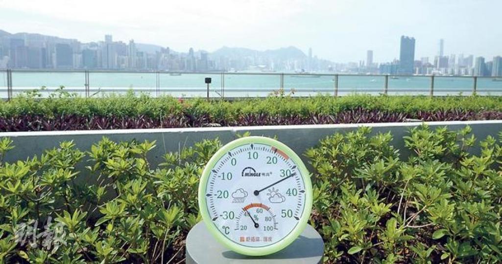 郵輪碼頭天台花園大部分地方無瓦遮頭,在陽光曝曬下,記者昨早11點在該處錄得氣溫約32℃,較市區高6℃。(余俊亮攝)李小姐昨帶兒子到啟德遊輪碼頭天台花園參觀,她認為該處雖較少地方遮蔭,但曝曬也無妨,因在港難找到有陽光及草地,又可供小朋友遊玩的地方。(余俊亮攝) 郵輪碼頭天台花園大部分地方無瓦遮頭,在陽光曝曬下,記者昨早11點在該處錄得氣溫約32℃,較市區高6℃。(余俊亮攝)李小姐昨帶兒子到啟德遊輪碼頭天台花園參觀,她認為該處雖較少地方遮蔭,但曝曬也無妨,因在港難找到有陽光及草地,又可供小朋友遊玩的地方。(余俊亮攝)