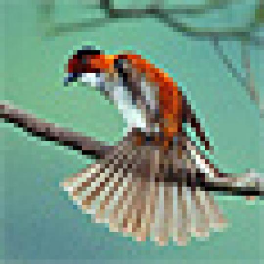 327219e01171e44fd6af011227e37c16