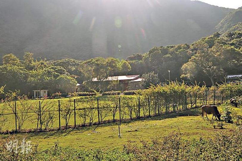 (湯俊彥攝) (湯俊彥攝)