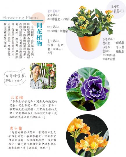 （李佩雯攝）（李佩雯攝）（李佩雯攝）（李佩雯攝）（李佩雯攝）