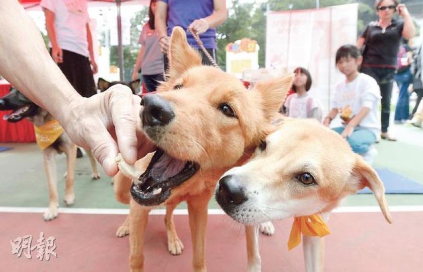 （余俊亮攝）