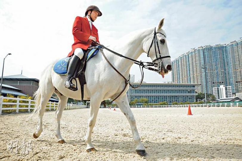 大年初三在沙田馬場舉行馬年首個賽馬日，充當「保母」安撫賽馬情緒的儀仗馬Ah Jock，過去15年均與逢賽日穿上紅色西裝的儀仗馬隊長黃志明合作無間。（胡景禧攝）
