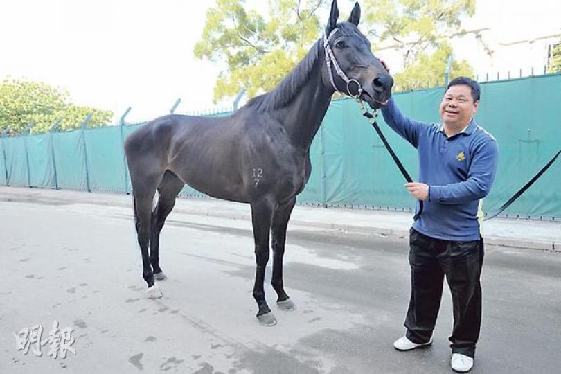 港區人大代表王庭聰養馬5年，最愛馬的善良，訪問當日他見到自己的馬便很高興，上前撫摸。他說，除了打高爾夫球，養馬是他另一最大興趣。（胡景禧攝）