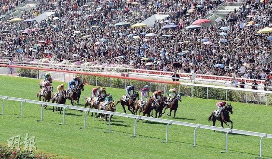 沙田馬場昨日年初三的馬年賀歲馬，吸引9.8萬多人次進場，人次僅次去年，是過去10年第二高。昨日天氣暖洋洋，陽光普照，不少馬迷邊撐着傘邊吶喊。（李澤彤攝）郭先生及郭太（前右及中）昨與親友帶着在車公廟買的風車進馬場，期望新一年轉個好運。（李澤彤攝）