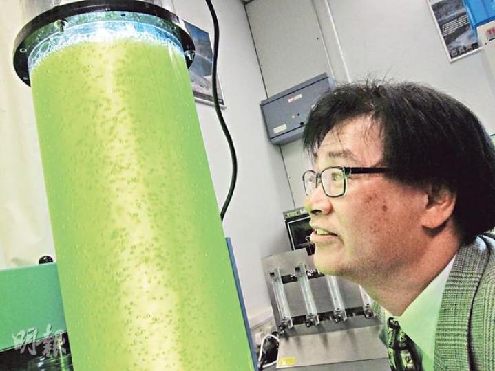 公開大學科技學院院長何建宗（圖）表示，藻類在不同色溫的燈光照射下，細胞分裂的速度會有分別，換言之可以透過調校光度增加藻類產量。圖中盛載藻類的圓桶，可隨意將燈光調校成綠色、藍色和紅色，每毫升水含有1000萬粒藻類，濃度極高。（馬耀森攝）公開大學分析本地原生藻類，發現部分「含油量」達三成以上，有潛力提煉成生物燃油。圖中電腦屏幕上的藻類是小球藻。（馬耀森攝）