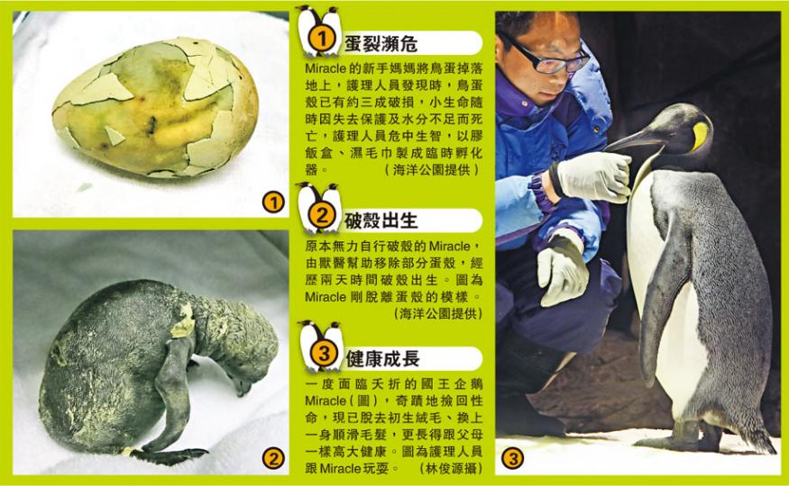 (明報製圖) (明報製圖)