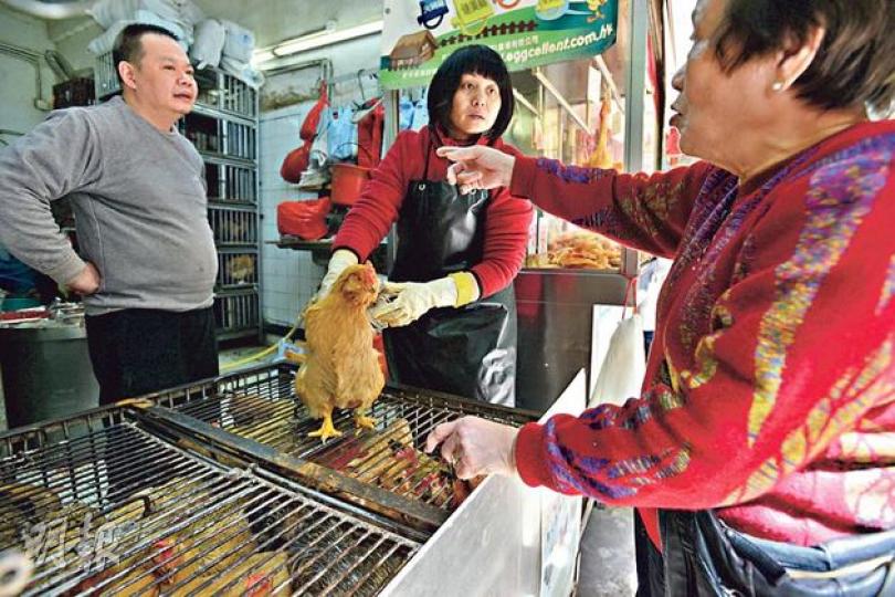 本港復售活雞第二日,共有逾2.7萬隻本地雞應市,昨日灣仔街市雞檔陸續有市民買雞。(黃志東攝) 本港復售活雞第二日,共有逾2.7萬隻本地雞應市,昨日灣仔街市雞檔陸續有市民買雞。(黃志東攝)