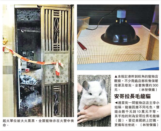 （明報製圖）