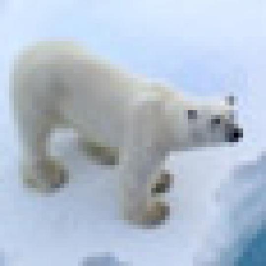 5af9ac00b4c8db9f5ec9ed653723e5ec