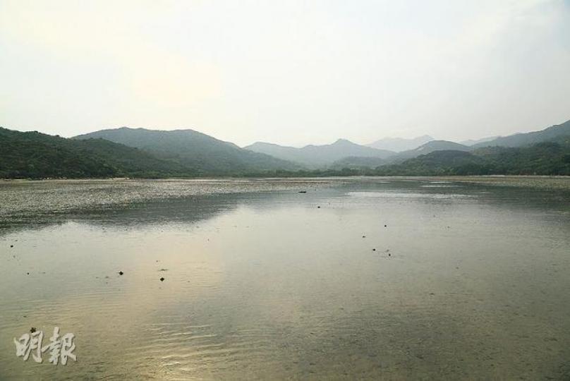 水口灣（黃志東攝）水退面積近1公里，將眼睛變成微距鏡頭，會看到許多生物。（黃志東攝）前往水口灣經過的濕地，水牛在此挖了小水池，Dickson正在調查有沒有特別的生物。（黃志東攝）黃志俊Dickson（黃志東攝）（黃志東攝）（明報製圖）
