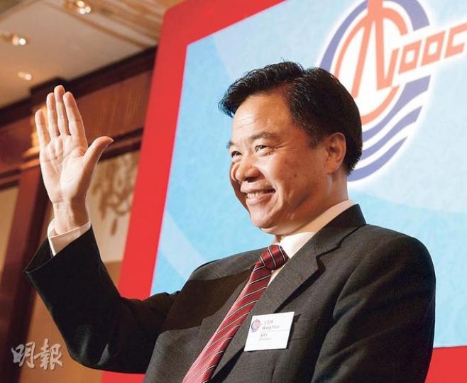 中海油以近1200億元收購的Nexen，去年只貢獻11億元人民幣利潤，相反令集團成本大增，但董事長王宜林（圖）仍強調，無論在儲量或是技術上，Nexen都有其長遠的價值。（劉焌陶攝）