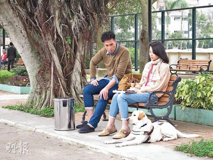 陳豪與胡杏兒合作新劇，陳豪甜笑爆開工時常收到太太傳囝囝的照片以解掛念。（攝影/記者：林蘊兒） 新劇飾演失明人士的胡杏兒手拖導盲犬漫步，大讚狗隻懂人性，很容易適應演出。（攝影/記者：林蘊兒）