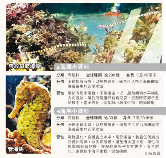 (明報製圖) (明報製圖)