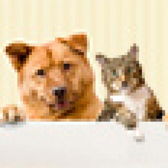 5b68ad9810647a29b1eb7bf26a04863f