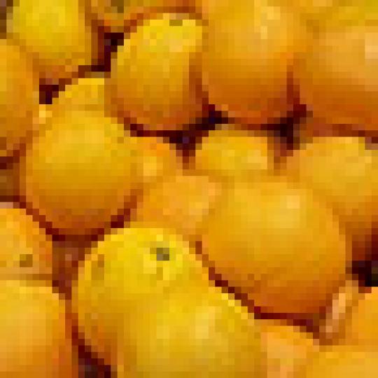 32a46077cc3330a7cf24bfb0d9fb1340