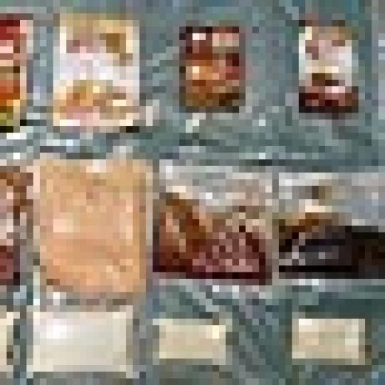 8e28760bce7a24a4d16b377716bdc4e3