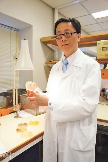 港大感染及傳染病中心總監何栢良研究了醫管局港島西聯網10年間的病例，發現抗藥大腸桿菌數目在10年間升1.7倍，逾半來自75歲或以上長者，預料日後惡菌將隨人口老化增加。（梁杏怡攝）（明報製圖）