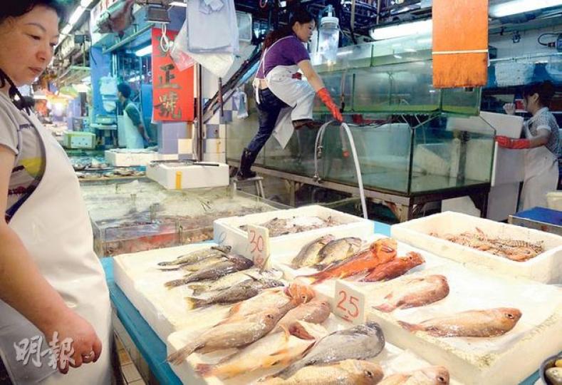 九龍城街市一魚檔昨有大批海魚缺氧死亡,店員昨早開檔時清洗及檢查魚缸。魚檔負責人(左)稱,部分死魚早已有客人訂購,另一些則需以平價賣出。(蔡方山攝) 九龍城街市一魚檔昨有大批海魚缺氧死亡,店員昨早開檔時清洗及檢查魚缸。魚檔負責人(左)稱,部分死魚早已有客人訂購,另一些則需以平價賣出。(蔡方山攝)