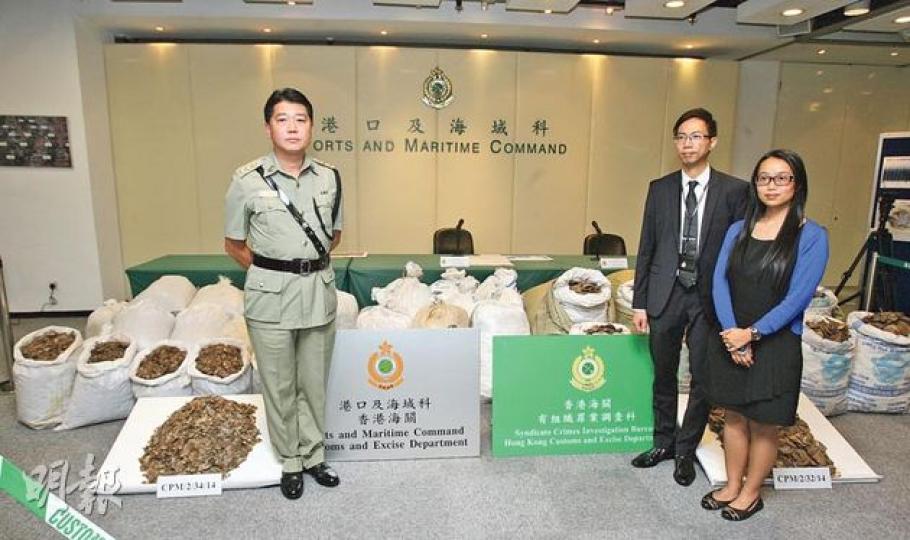 海關港口及海域科貨櫃貨物檢查組指揮官王維雄(左)表示,兩宗走私案共檢獲3340公斤穿山甲鱗片,總值約1700萬元,相信屬同一走私集團。(伍浦鋒攝)中醫認為穿山甲鱗片具藥效,內地需求甚殷,每公斤售價可達4000元人民幣。 (伍浦鋒攝) 海關港口及海域科貨櫃貨物檢查組指揮官王維雄(左)表示,兩宗走私案共檢獲3340公斤穿山甲鱗片,總值約1700萬元,相信屬同一走私集團。(伍浦鋒攝)中醫認為穿山甲鱗片具藥效,內地需求甚殷,每公斤售價可達4000元人民幣。 (伍浦鋒攝)