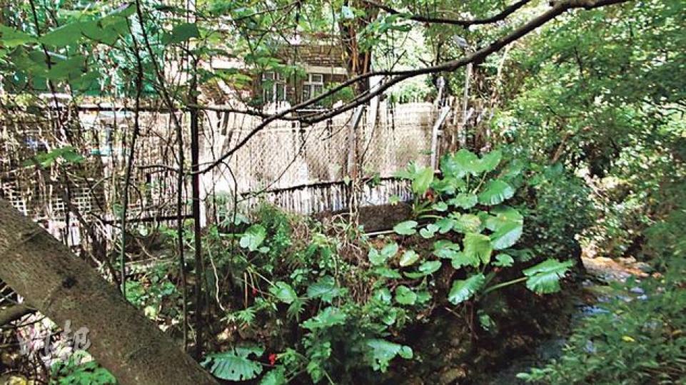 警方相信匪徒涉水行經「護城河」(圖右下方),走近「城牆」,剪毁鐵絲網,再敲破牆上玻璃窗入獨立屋犯案。(林智傑攝) 警方相信匪徒涉水行經「護城河」(圖右下方),走近「城牆」,剪毁鐵絲網,再敲破牆上玻璃窗入獨立屋犯案。(林智傑攝)