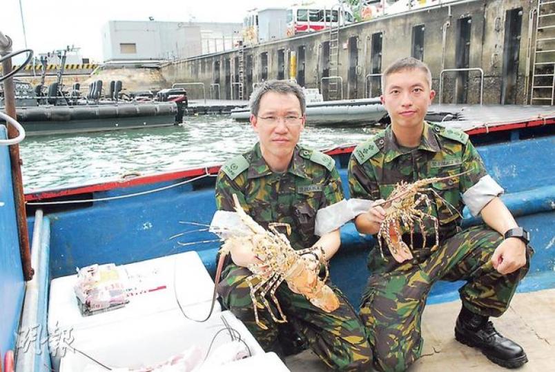 水警檢獲的走私龍蝦仍非常生猛,水警小艇分區指揮官梁宗定警司(左)估計該批龍蝦來自澳洲。右為水警小艇分區第二小隊指揮官曾成賢高級督察。(鍾炳然攝) 水警檢獲的走私龍蝦仍非常生猛,水警小艇分區指揮官梁宗定警司(左)估計該批龍蝦來自澳洲。右為水警小艇分區第二小隊指揮官曾成賢高級督察。(鍾炳然攝)