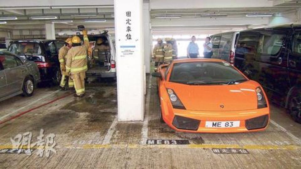 (林智傑攝) (林智傑攝)