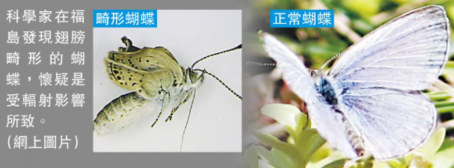 (明報製圖) (明報製圖)