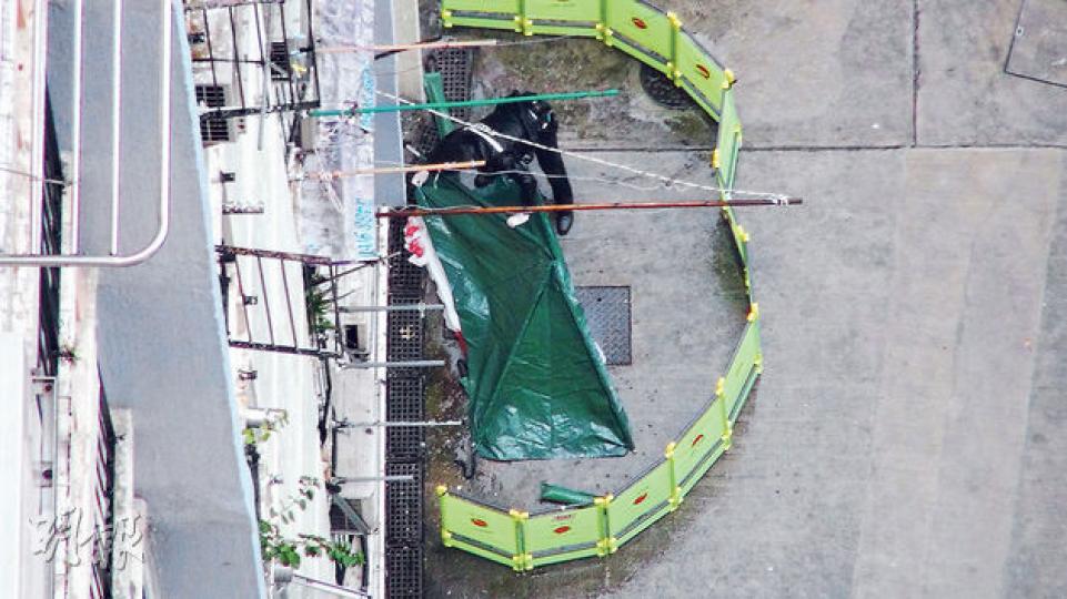 (林智傑攝) (林智傑攝)