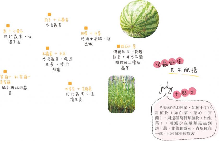 (明報製圖)(明報製圖)(明報製圖) (明報製圖)(明報製圖)(明報製圖)
