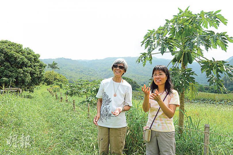 活耕建養地協會成員寶熙(左)和蒲公英,為保護南涌出心出力。(陳淑安攝)南涌三面環山,四季景色各有特點,是鳥類、蝴蝶、蜻蜓,各式水生生物共存共生的地方。(李佩雯攝)蓮蓬曬乾可作擺設。(李佩雯攝)農夫何叔叔種的紅肉火龍果,味道清甜,很快被會員訂購一空。(李佩雯攝)協會農地擁有大片美麗荷塘。(陳淑安攝)這個風景令我看得入神,何叔叔每朝起來便看得到。(李佩雯攝)耕地主要是圍着荷塘的土地,農產品數量少而精。(陳淑安攝) 活耕建養地協會成員寶熙(左)和蒲公英,為保護南涌出心出力。(陳淑安攝)南涌三面環山,四季景色各有特點,是鳥類、蝴蝶、蜻蜓,各式水生生物共存共生的地方。(李佩雯攝)蓮蓬曬乾可作擺設。(李佩雯攝)農夫何叔叔種的紅肉火龍果,味道清甜,很快被會員訂購一空。(李佩雯攝)協會農地擁有大片美麗荷塘。(陳淑安攝)這個風景令我看得入神,何叔叔每朝起來便看得到。(李佩雯攝)耕地主要是圍着荷塘的土地,農產品數量少而精。(陳淑安攝)