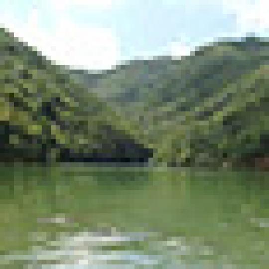 c29e97795f5983c91ac5c26375bf1c62