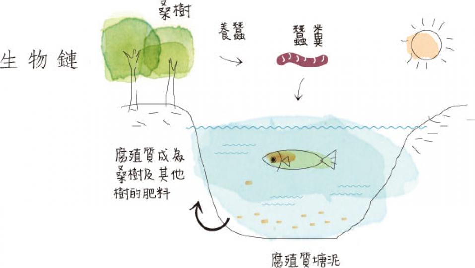 (明報製圖) (明報製圖)