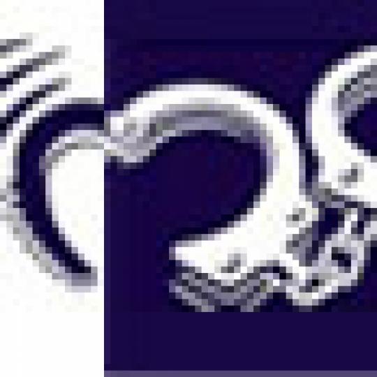 bb7af951fffafa68f2501ef8b25a54ed