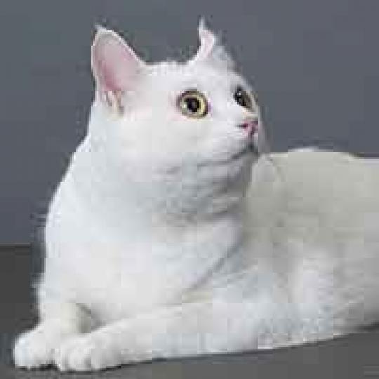 34a5a62c0e3d563d2e72f922d13bc8df